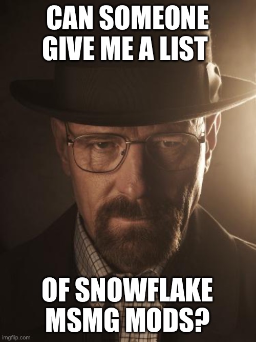 Walter White | CAN SOMEONE GIVE ME A LIST; OF SNOWFLAKE MSMG MODS? | image tagged in walter white | made w/ Imgflip meme maker