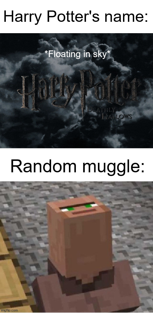 How is the Ministry allowing this? | Harry Potter's name:; *Floating in sky*; Random muggle: | image tagged in minecraft villager looking up,harry potter | made w/ Imgflip meme maker