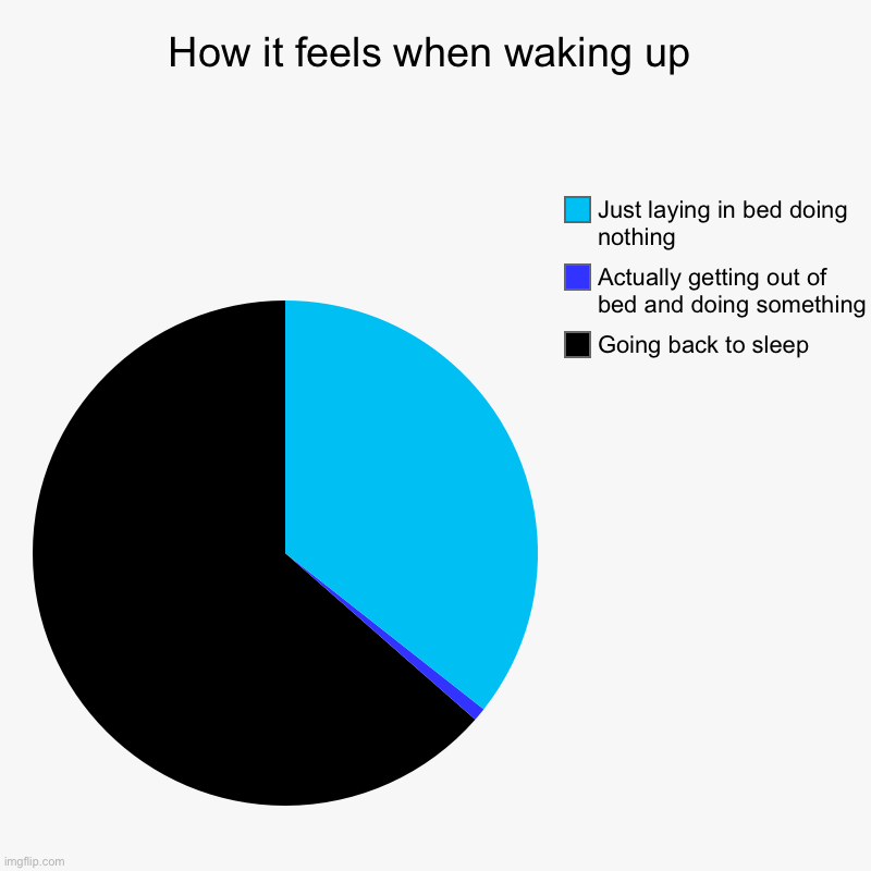 -_- zzzzzzz | How it feels when waking up | Going back to sleep, Actually getting out of bed and doing something, Just laying in bed doing nothing | image tagged in charts,pie charts,memes | made w/ Imgflip chart maker