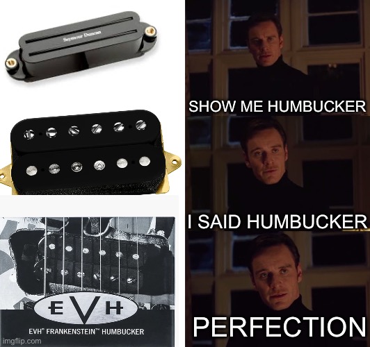Evh Frankie humbucker | SHOW ME HUMBUCKER; I SAID HUMBUCKER; PERFECTION | image tagged in perfection | made w/ Imgflip meme maker