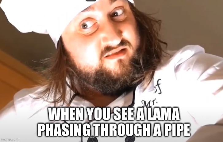 Sam Widge | WHEN YOU SEE A LAMA PHASING THROUGH A PIPE | image tagged in sam widge | made w/ Imgflip meme maker