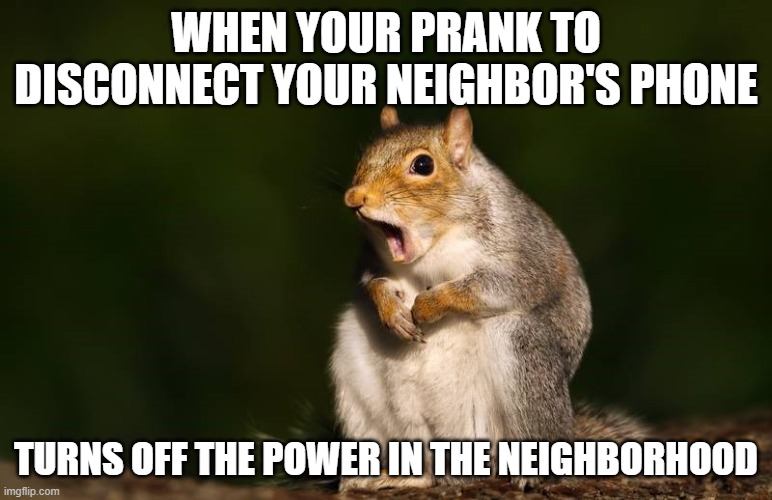 Squirrel kills power to the neighborhood in Dayton | WHEN YOUR PRANK TO DISCONNECT YOUR NEIGHBOR'S PHONE; TURNS OFF THE POWER IN THE NEIGHBORHOOD | image tagged in surprised squirrel | made w/ Imgflip meme maker