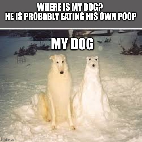True colors | WHERE IS MY DOG? 
HE IS PROBABLY EATING HIS OWN POOP; MY DOG | image tagged in dog with snow dog,funny,funny memes,hilarious | made w/ Imgflip meme maker