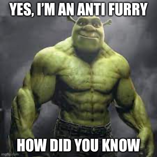 Anti furries are true gigachads | YES, I’M AN ANTI FURRY; HOW DID YOU KNOW | image tagged in anti furry,gigachad,shrek | made w/ Imgflip meme maker