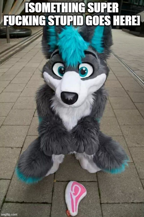 Furry | [SOMETHING SUPER FUCKING STUPID GOES HERE] | image tagged in furry | made w/ Imgflip meme maker