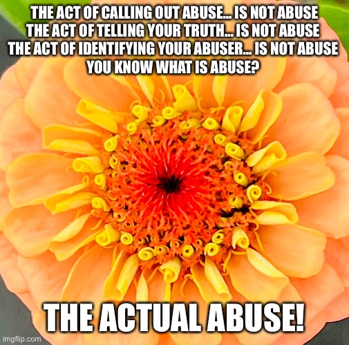 Abuse | THE ACT OF CALLING OUT ABUSE… IS NOT ABUSE

THE ACT OF TELLING YOUR TRUTH… IS NOT ABUSE 

THE ACT OF IDENTIFYING YOUR ABUSER… IS NOT ABUSE 

YOU KNOW WHAT IS ABUSE? THE ACTUAL ABUSE! | image tagged in endabuse silentnomoreabusersbeware | made w/ Imgflip meme maker