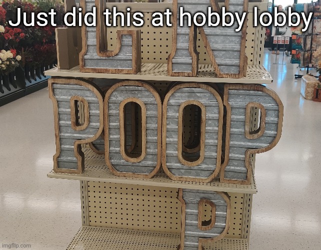 We do a little trolling | Just did this at hobby lobby | made w/ Imgflip meme maker