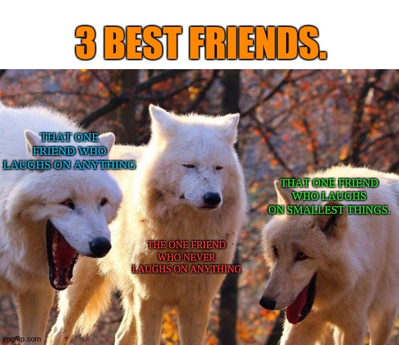 Wolves. | 3 BEST FRIENDS. THAT ONE FRIEND WHO LAUGHS ON ANYTHING; THAT ONE FRIEND WHO LAUGHS ON SMALLEST THINGS. THE ONE FRIEND WHO NEVER LAUGHS ON ANYTHING | image tagged in 2/3 wolves laugh | made w/ Imgflip meme maker