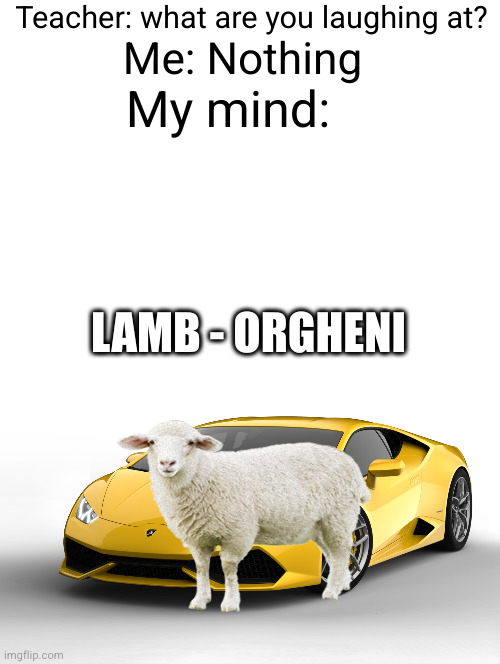 Lamb-orgheni | Teacher: what are you laughing at? Me: Nothing; My mind:; LAMB - ORGHENI | image tagged in lamborghini,lamb,sheep,deep thoughts,funny,cars | made w/ Imgflip meme maker