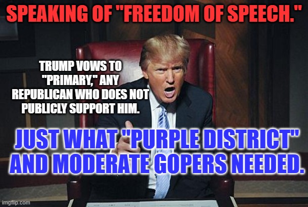 They are "Free," to say they love everything about him. | SPEAKING OF "FREEDOM OF SPEECH."; TRUMP VOWS TO "PRIMARY," ANY REPUBLICAN WHO DOES NOT PUBLICLY SUPPORT HIM. JUST WHAT "PURPLE DISTRICT" AND MODERATE GOPERS NEEDED. | image tagged in donald trump you're fired | made w/ Imgflip meme maker