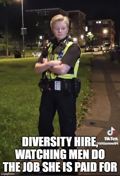 Diversity | DIVERSITY HIRE,
WATCHING MEN DO THE JOB SHE IS PAID FOR | image tagged in diversity,equality,gender equality,feminism,feminist,feminism is cancer | made w/ Imgflip meme maker