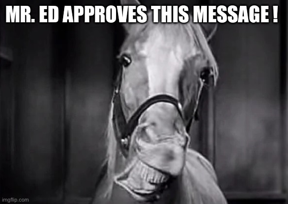 Mr. Ed approves this message | MR. ED APPROVES THIS MESSAGE ! | made w/ Imgflip meme maker