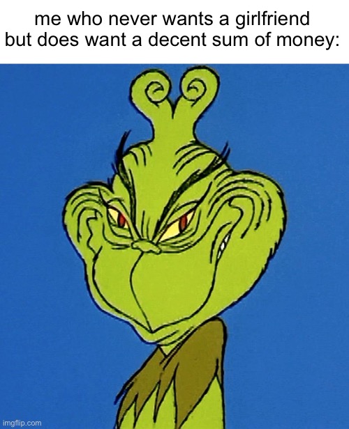 Grinch Smile | me who never wants a girlfriend but does want a decent sum of money: | image tagged in grinch smile | made w/ Imgflip meme maker
