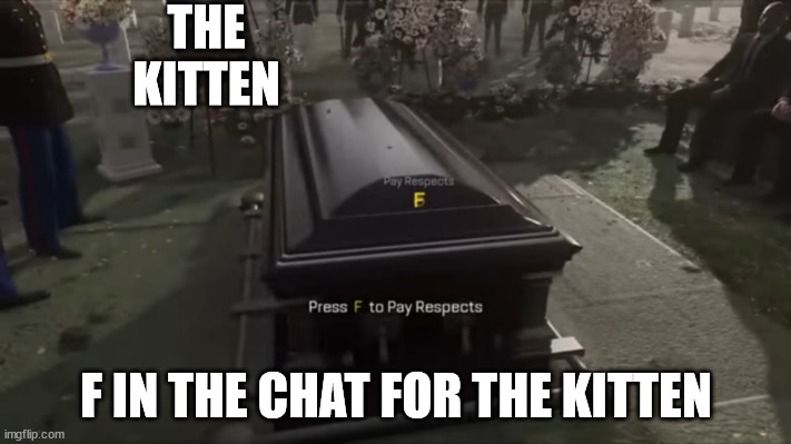 Press F to pay respects | THE KITTEN F IN THE CHAT FOR THE KITTEN | image tagged in press f to pay respects | made w/ Imgflip meme maker