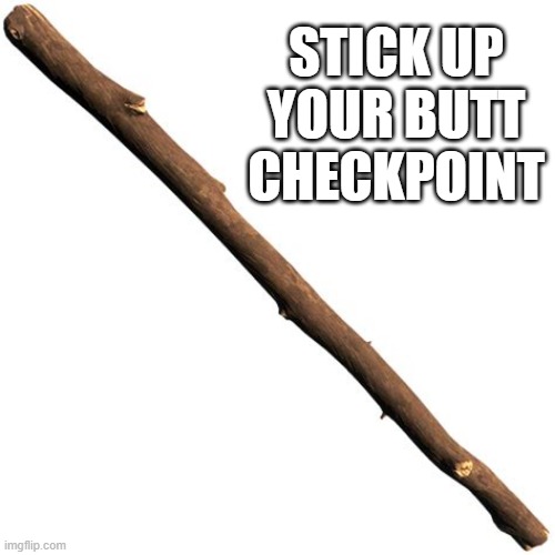 STICK UP YOUR BUTT CHECKPOINT | image tagged in memes | made w/ Imgflip meme maker