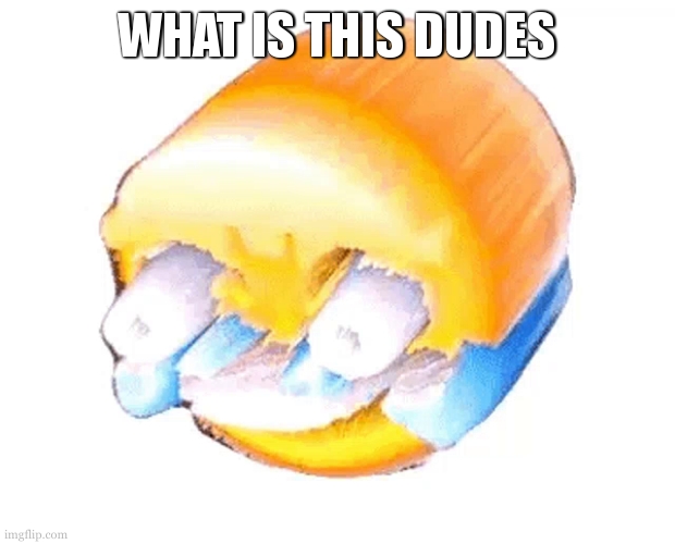 painful laughing | WHAT IS THIS DUDES | image tagged in painful laughing | made w/ Imgflip meme maker