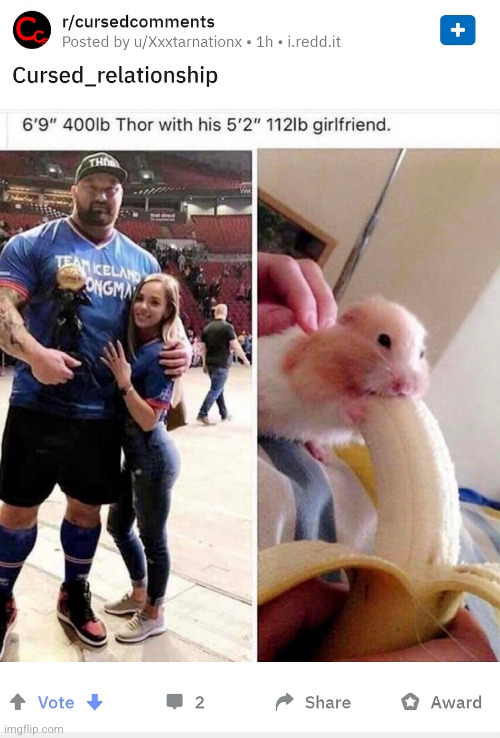 #3,126 | image tagged in no tags lol | made w/ Imgflip meme maker