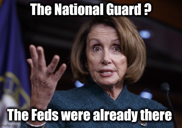 Good old Nancy Pelosi | The National Guard ? The Feds were already there | image tagged in good old nancy pelosi | made w/ Imgflip meme maker