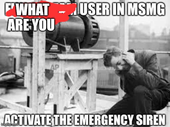 What are you Blank Meme Template