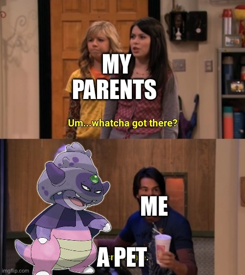 My pet now | MY PARENTS; ME; A PET | image tagged in whatcha got there | made w/ Imgflip meme maker