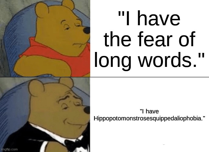 Who named that phobia- | "I have the fear of long words."; "I have Hippopotomonstrosesquippedaliophobia." | image tagged in memes,tuxedo winnie the pooh,fear,funny | made w/ Imgflip meme maker