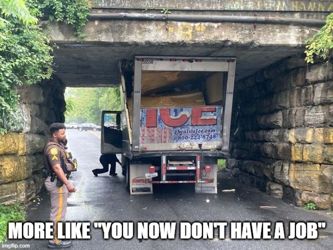 Tight Squeeze | MORE LIKE "YOU NOW DON'T HAVE A JOB" | image tagged in you had one job | made w/ Imgflip meme maker