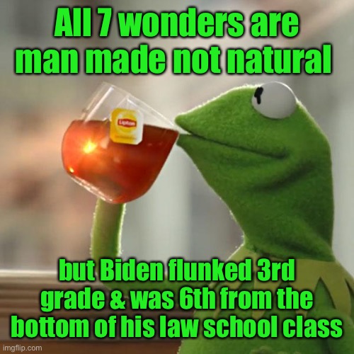 But That's None Of My Business Meme | All 7 wonders are man made not natural but Biden flunked 3rd grade & was 6th from the bottom of his law school class | image tagged in memes,but that's none of my business,kermit the frog | made w/ Imgflip meme maker