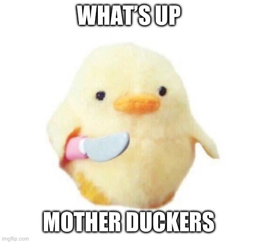 What’s up mother duckers | WHAT’S UP; MOTHER DUCKERS | image tagged in duck with knife,memes,funny,ducks,funny memes,animals | made w/ Imgflip meme maker