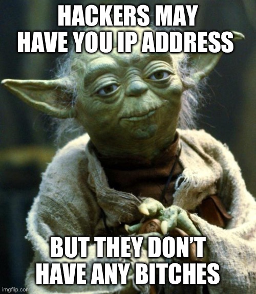 Star Wars Yoda | HACKERS MAY HAVE YOU IP ADDRESS; BUT THEY DON’T HAVE ANY BITCHES | image tagged in memes,star wars yoda | made w/ Imgflip meme maker