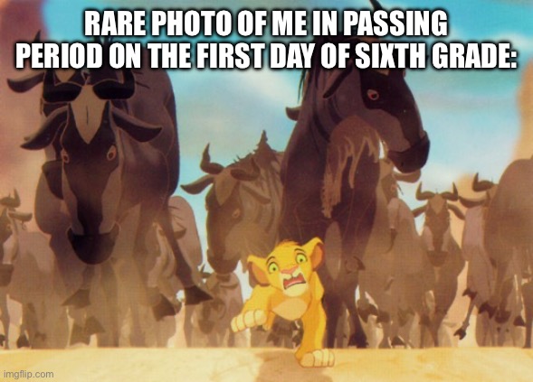 Passing period in middle school is ROUGH | RARE PHOTO OF ME IN PASSING PERIOD ON THE FIRST DAY OF SIXTH GRADE: | image tagged in lion king stampede | made w/ Imgflip meme maker