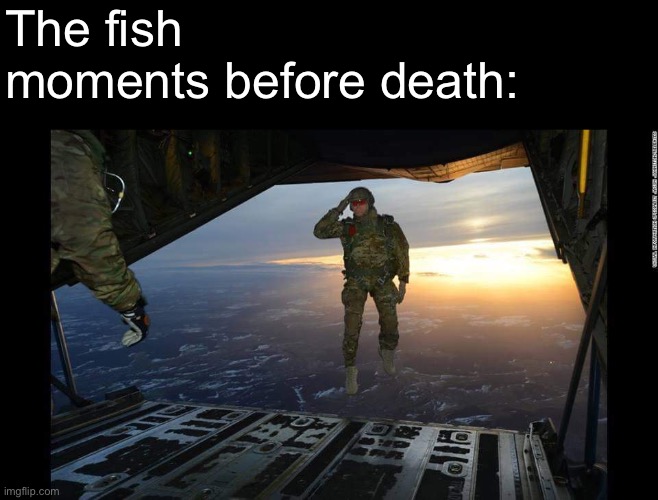 Military Skydive Solute | The fish moments before death: | image tagged in military skydive solute | made w/ Imgflip meme maker