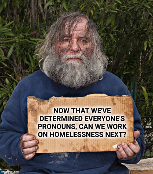Homeless blank sign | NOW THAT WE'VE DETERMINED EVERYONE'S PRONOUNS, CAN WE WORK ON HOMELESSNESS NEXT? | image tagged in homeless blank sign | made w/ Imgflip meme maker