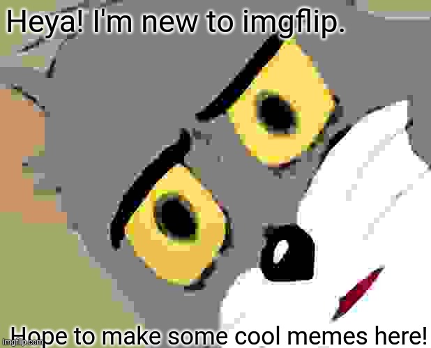 Hi :3 | Heya! I'm new to imgflip. Hope to make some cool memes here! | image tagged in memes,unsettled tom,new memes | made w/ Imgflip meme maker