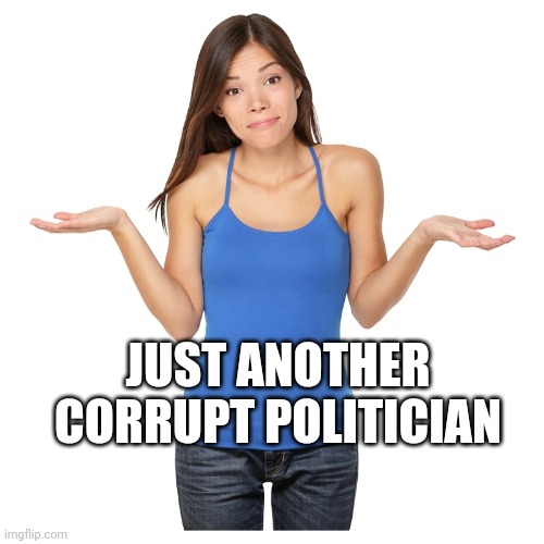 I don't know | JUST ANOTHER CORRUPT POLITICIAN | image tagged in i don't know | made w/ Imgflip meme maker