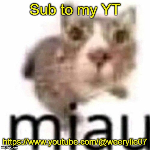 miau | Sub to my YT; https://www.youtube.com/@weerylie07 | image tagged in miau | made w/ Imgflip meme maker