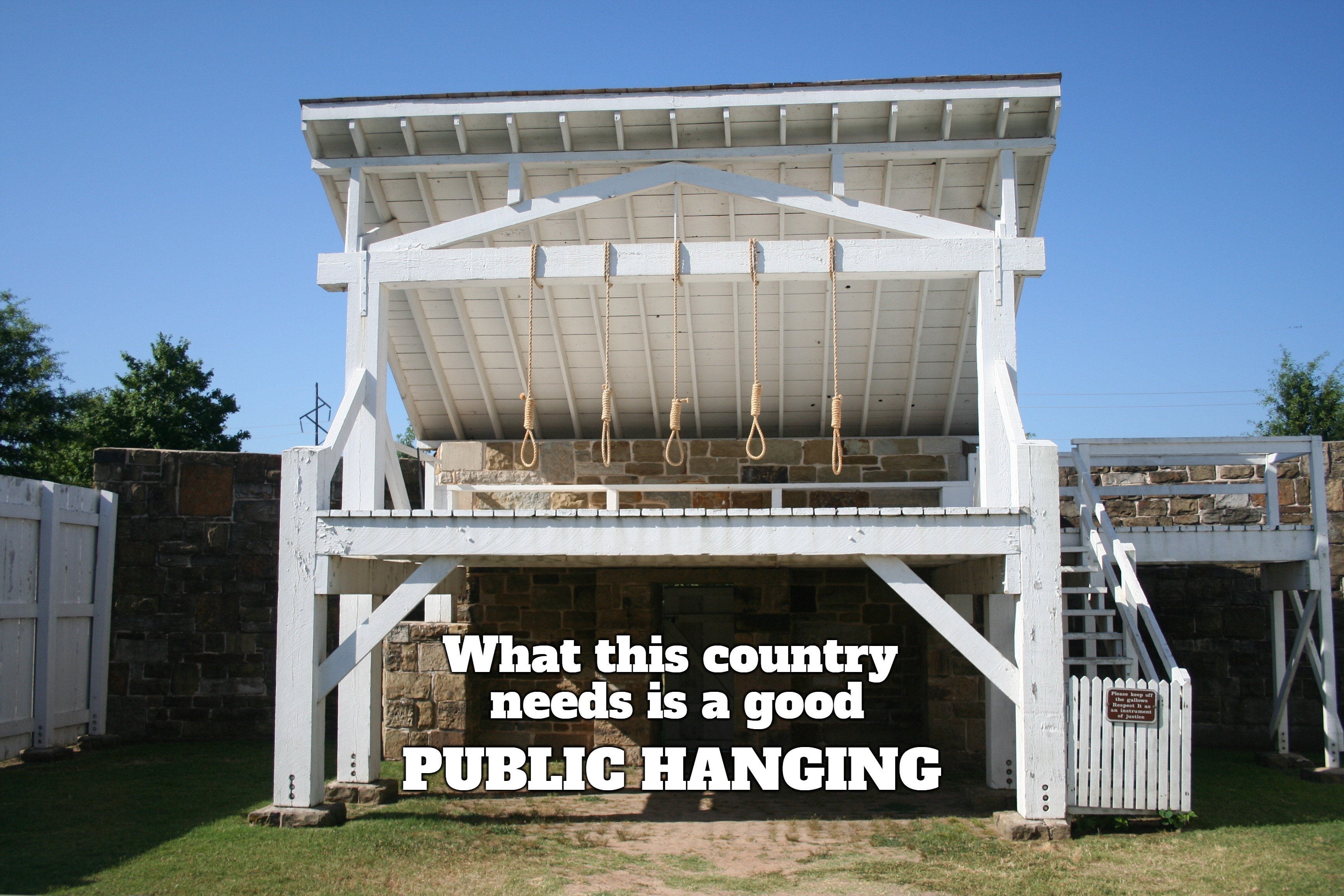 What this country needs is a good PUBLIC HANGING! | image tagged in hanging out,sedition,treason,capital punishment,gallows,noose | made w/ Imgflip meme maker