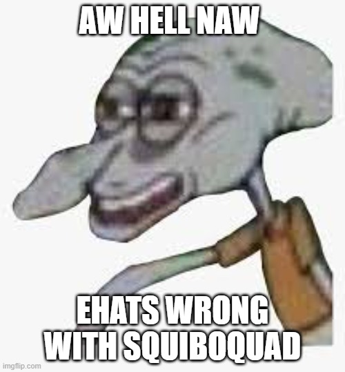 squiboquad | AW HELL NAW; EHATS WRONG WITH SQUIBOQUAD | made w/ Imgflip meme maker
