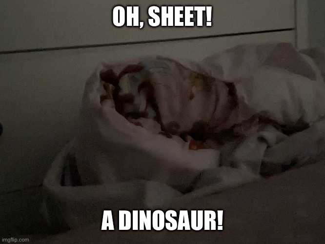 First thing I saw when I woke up this morning? ? | OH, SHEET! A DINOSAUR! | image tagged in oh sheet a dinosaur | made w/ Imgflip meme maker