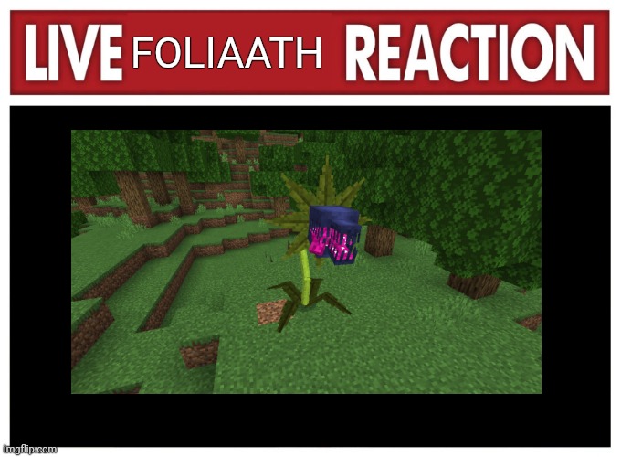 Live foliaath reaction! | FOLIAATH | image tagged in live reaction | made w/ Imgflip meme maker