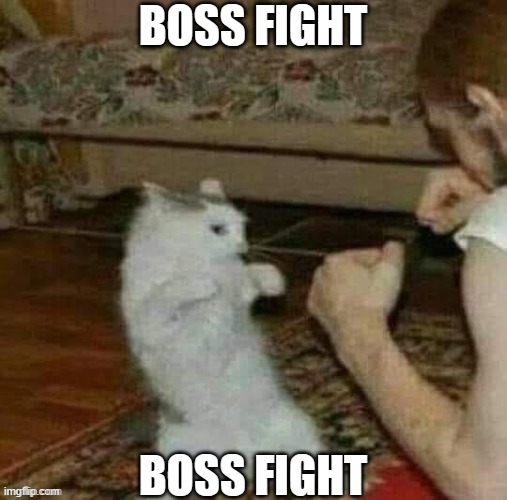 BOSS FIGHT BOSS FIGHT | made w/ Imgflip meme maker