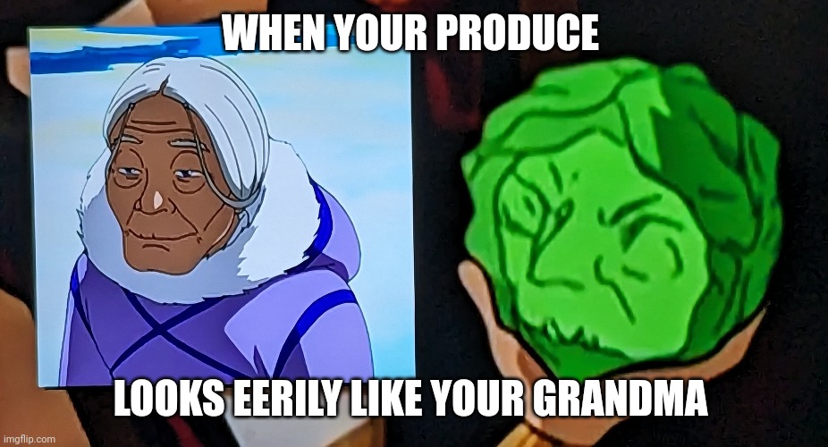 That cabbage or lettuce looks just like katara's grandmother! | WHEN YOUR PRODUCE; LOOKS EERILY LIKE YOUR GRANDMA | image tagged in lookalike,memes,avatar the last airbender | made w/ Imgflip meme maker