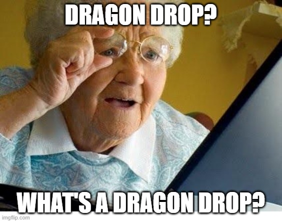 Dragon Drop | DRAGON DROP? WHAT'S A DRAGON DROP? | image tagged in old lady at computer | made w/ Imgflip meme maker