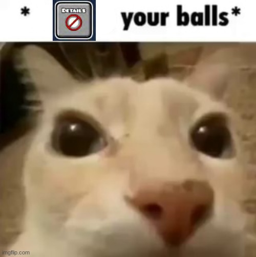 *Delete all Details your balls* | image tagged in x your balls | made w/ Imgflip meme maker