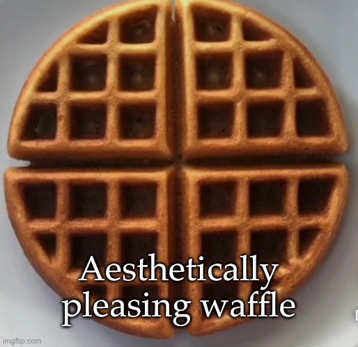 Aesthetically pleasing waffle | image tagged in waffles | made w/ Imgflip meme maker