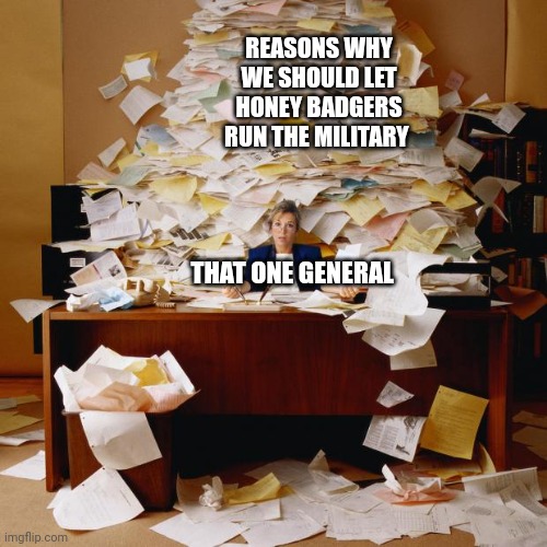 We really need to let honey badgers run the military, Mr president | REASONS WHY WE SHOULD LET HONEY BADGERS RUN THE MILITARY; THAT ONE GENERAL | image tagged in busy | made w/ Imgflip meme maker