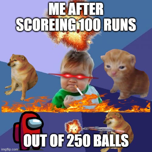 I AM THE BEST | ME AFTER SCOREING 100 RUNS; OUT OF 250 BALLS | image tagged in memes,success kid | made w/ Imgflip meme maker