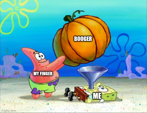 SpongeBob pumpkin funnel | BOOGER; MY FINGER; ME | image tagged in spongebob pumpkin funnel | made w/ Imgflip meme maker