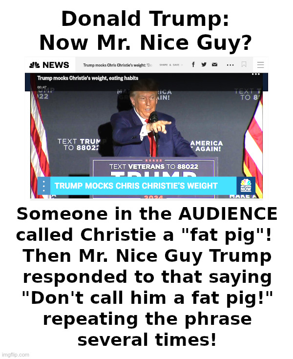 Donald Trump: Now Mr. Nice Guy? | image tagged in donald trump,maga,winner,chris christie,rino,loser | made w/ Imgflip meme maker