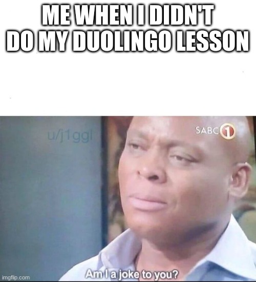 am I a joke to you | ME WHEN I DIDN'T DO MY DUOLINGO LESSON | image tagged in am i a joke to you | made w/ Imgflip meme maker