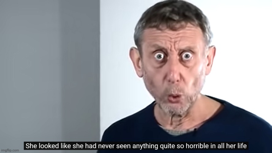 She looked like she had never seen anything quite so horrible | image tagged in she looked like she had never seen anything quite so horrible | made w/ Imgflip meme maker